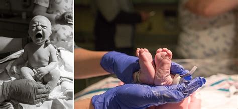 Image result for Birth Monty Python