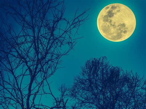 अपकमिंग 3 हॉरर मूवी