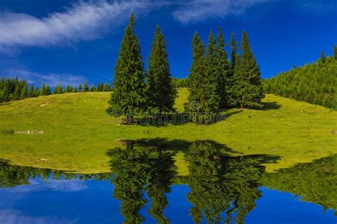 Image result for Water Reflection Spring