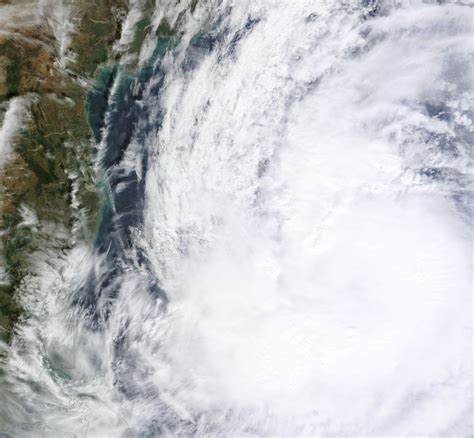 Cyclone Thane That Hit Coastal Tamil Nadu [PHOTOS] - IBTimes India