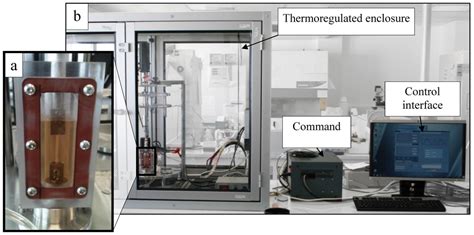 Towards a Tissue-Engineered Ligament: Design and Preliminary Evaluation ...