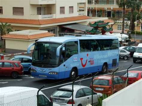 Image result for Tui Bus Model