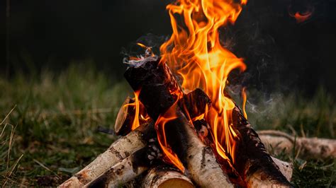 Seasonal burn ban in effect for Ohio in October, November | 10tv.com