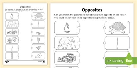 Opposites Matching Colouring Worksheet (teacher made)