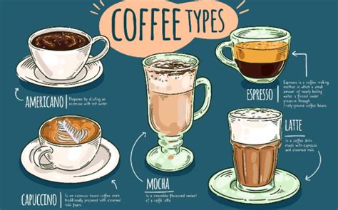 Beginners Guide To Types Of Coffee: Understanding The Basics (2)