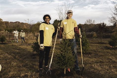 Image result for Homemade Digging Deep