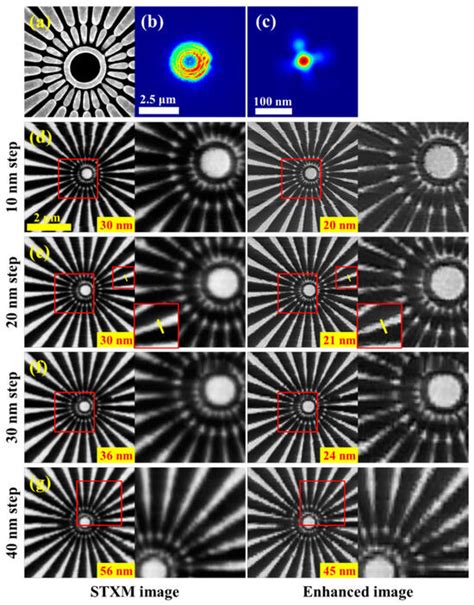 Enhanced Imaging in Scanning Transmission X-Ray Microscopy Assisted by ...
