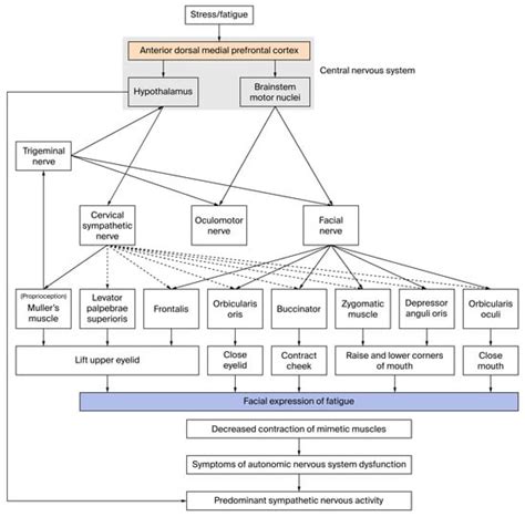 Physiologia | An Open Access Journal from MDPI