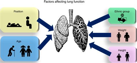 Factors Affecting Lung Function: A Review of the Literature | Archivos de Bronconeumología
