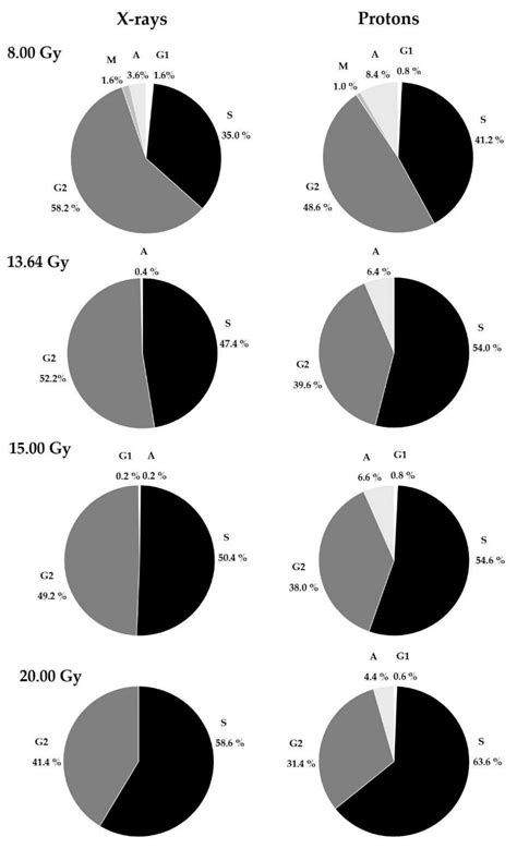 Investigation of DNA Damage and Cell-Cycle Distribution in Human ...