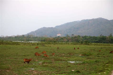 Press Information Bureau