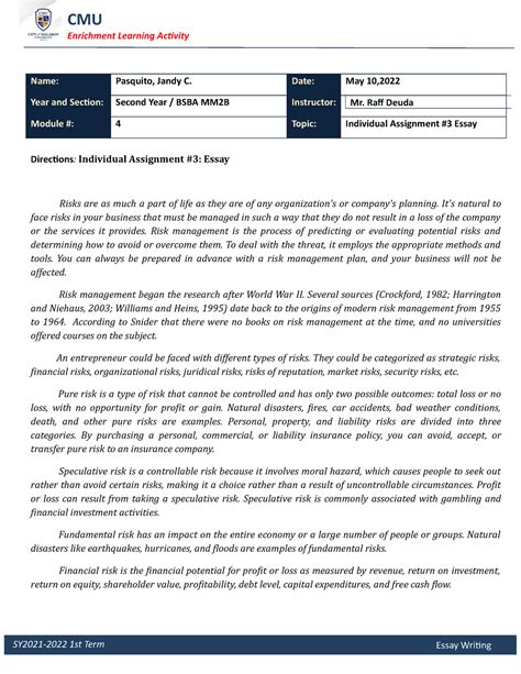 Image result for Essay Individual Assignment