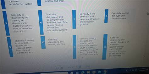 Solved: the male organs, and limbs reproductive system Specialty in ...