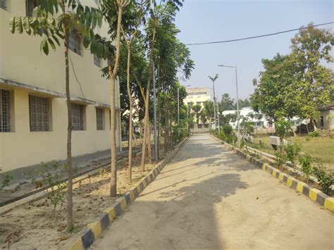 » Image Galleries | Primary Teacher Education College Nagarpara ...