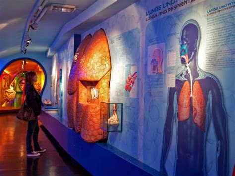 Journey into the Human Body | Meer