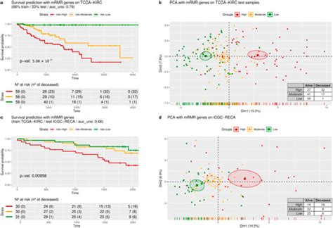 A Novel Machine Learning 13-Gene Signature: Improving Risk Analysis and ...