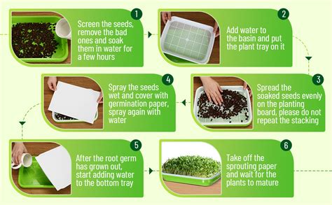 SHEING Seed Sprouter Tray 5 Pack, BPA Free Nursery Tray Seed ...