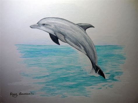 Easy Dolphin Drawing at GetDrawings | Free download