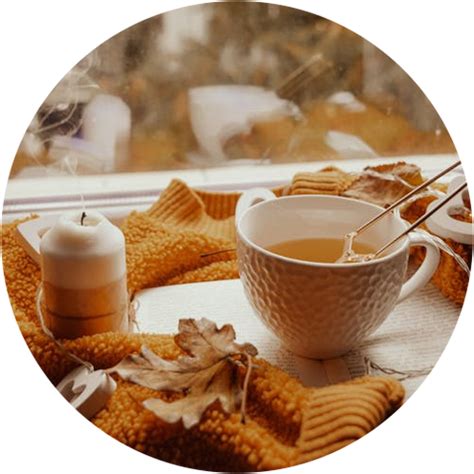 All You Need to Know About Autumn Teas | Fall Flush Teas – Golden Tips ...