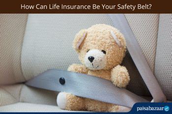 Life Insurance Articles and Latest Updates 2025 | Paisabazaar