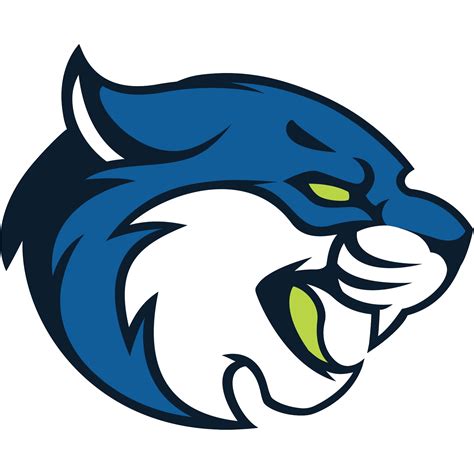 Women’s Basketball vs. Bryant & Stratton – Albany: 11/14/2024 | UMFK ...