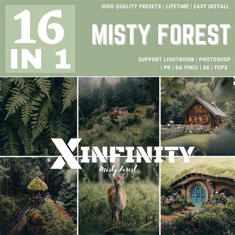 Misty Forest Lightroom presets Adobe Photoshop preset Lightroom filter ...
