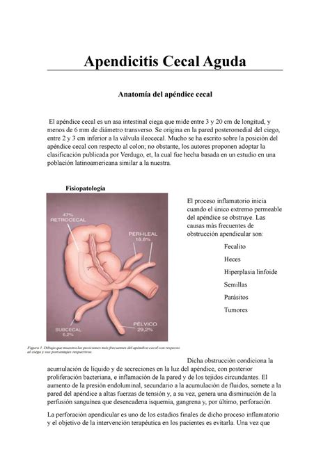 Que Es El Apendice Ii De Cites? – HR und Datenschutz