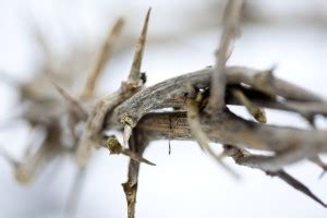 three crosses and Jesus Sticker Poster|Christian Religions|Jesus christ ...