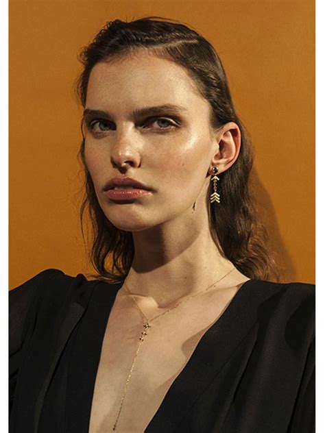 Amber Module Review 的图像结果