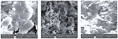 Maximizing Liquid Fuel Production from Reformed Biogas by Kinetic ...