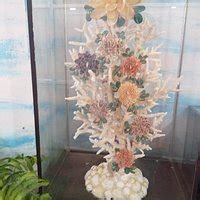 Sea Shell Museum (Mysuru (Mysore)) - All You Need to Know BEFORE You Go