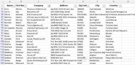 Excel Filtering Tables 的图像结果