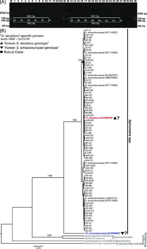Image result for Multiplex PCR Primer Design