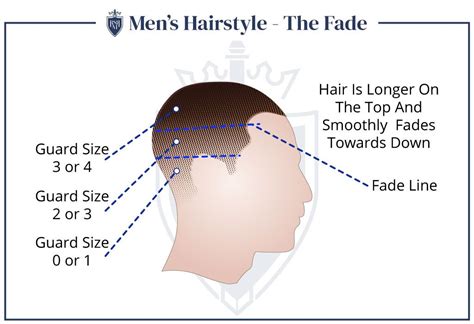 Image result for Fade Haircut Guide