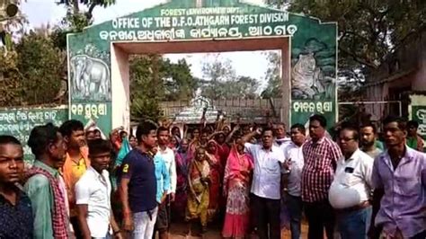 Odisha Athagarh DFO Confirms Poaching Behind Death of Female Elephant