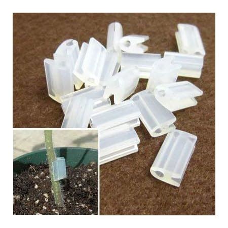 Buy Siddhi Grafting Clip 2.5MM for Plant Fruit & Vegetable, Silicon ...