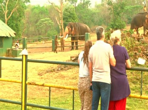 Tourist throng to see baby jumbo from Oscar-winning 'Elephant Whisperers'