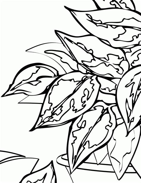 Free Plants Coloring Pages: Fun Botanical Art - Printable Aesthetic