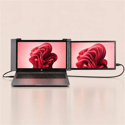 Portable Duo Screen – Riitek