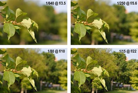Depth of Field: it's more than just aperture | Boost Your Photography