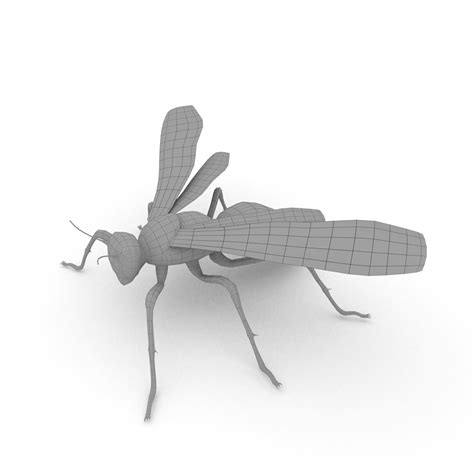 Image result for Wasp 3D Tutorial