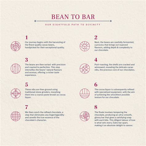 Ziaho's Exclusive Chocolate Gifting Collection – ziaho.in