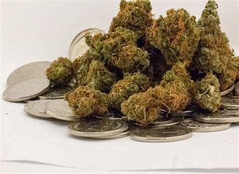 How Much is a Quarter of Marijuana? A Comprehensive Guide – Gamut Packaging