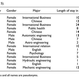 Interviewee Profile Example 的图像结果
