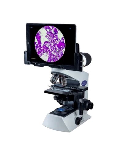 Microscope - Magnus Microscope Manufacturer from Mumbai
