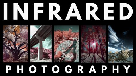 Infrared Video Editing 的图像结果