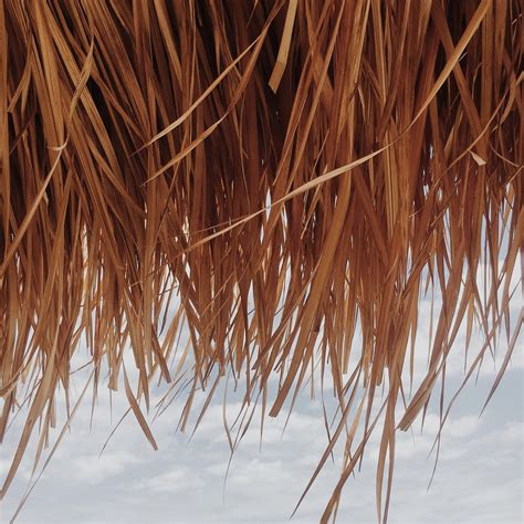 LOOKLEFT RESORT (Pundaquit) - Specialty Resort Reviews & Photos ...