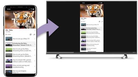 Image result for Install Roku On Computer