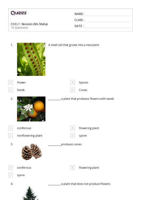 50+ Cones worksheets for 1st Class on Quizizz | Free & Printable
