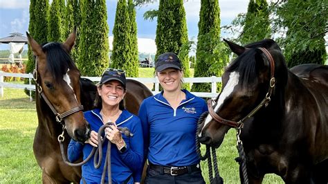 Image result for Flodesk Tutorials